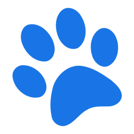cage-free dog daycare