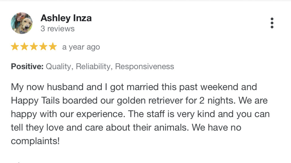 Dog Daycare Policy Salem NH